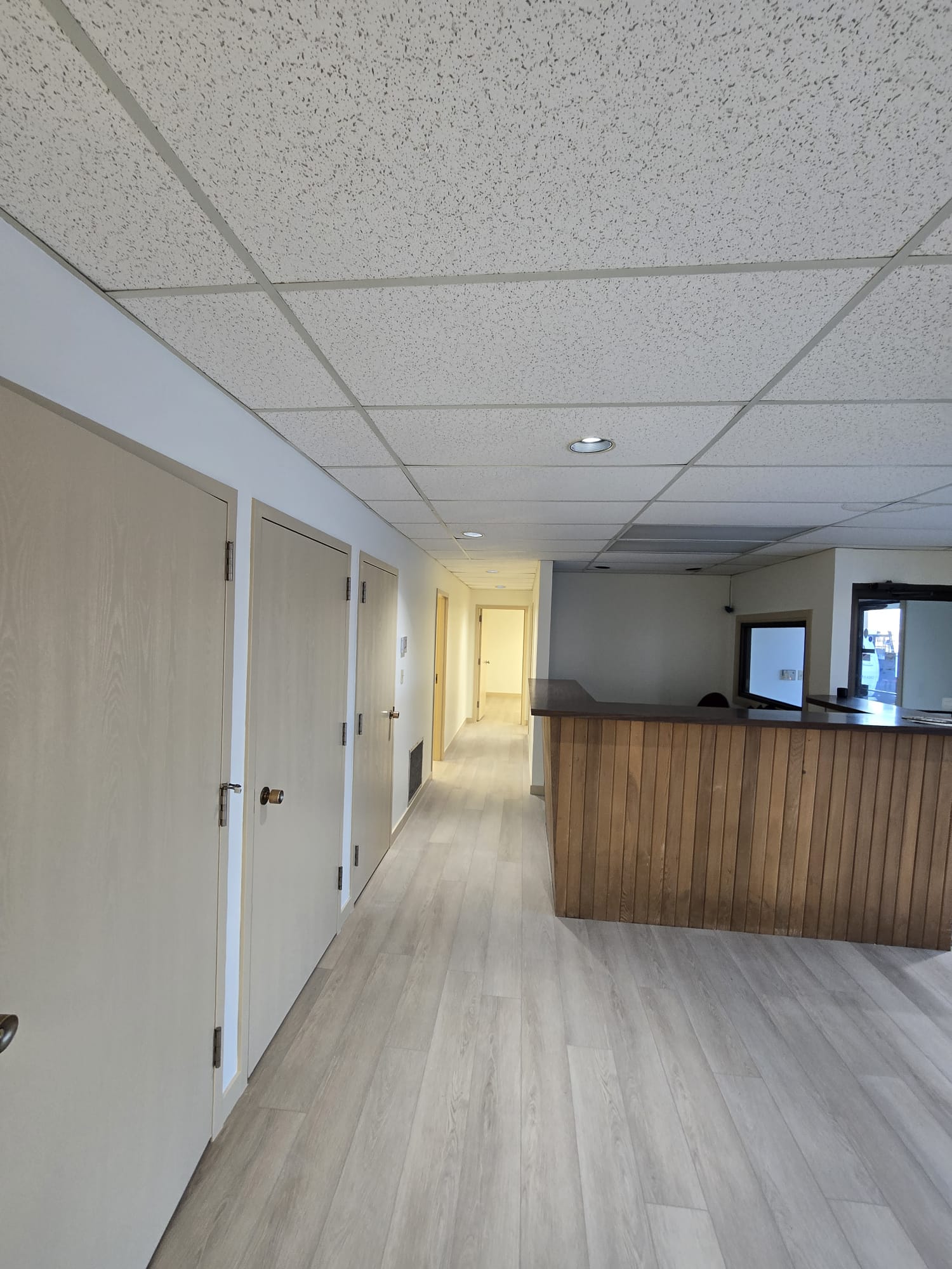 Commercial Office Renovation